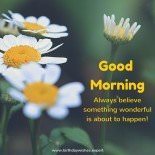 Early Motivation | Good Morning Quotes Early Motivation | Good Morning Quotes