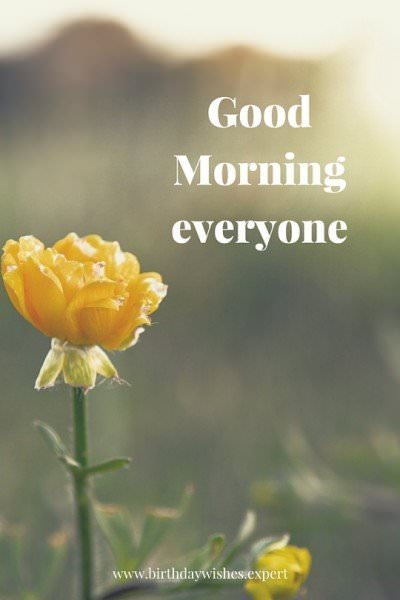 Good morning image with flowers. | Birthday Wishes Expert Good Morning, Everyone!