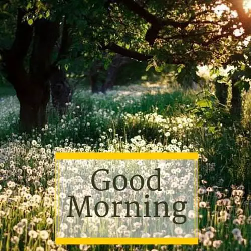 18 Good Morning Cards to Brighten your Timeline - 500 x 500 jpeg 59kB