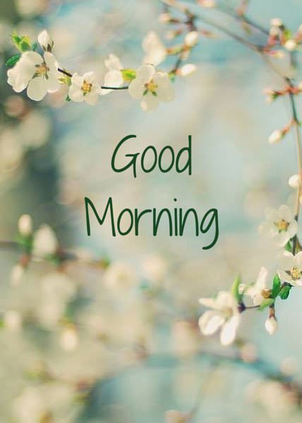 18 Good Morning Cards to Brighten your Timeline 18 Good Morning Cards to Brighten your Timeline