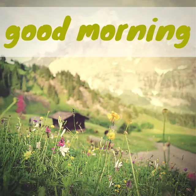 18 Good Morning Cards to Brighten your Timeline - 640 x 640 jpeg 62kB
