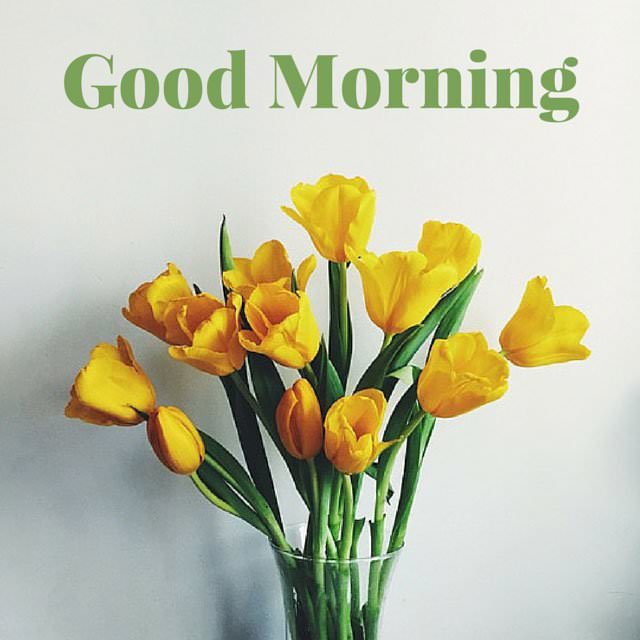 18 Good Morning Cards to Brighten your Timeline