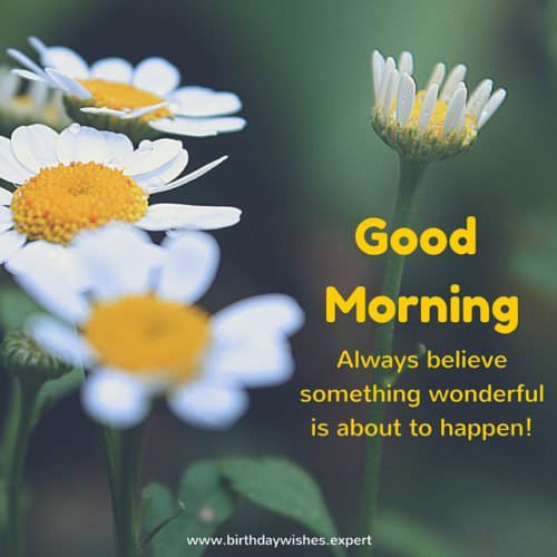 Good morning. Always believe something wonderful is about to happen!