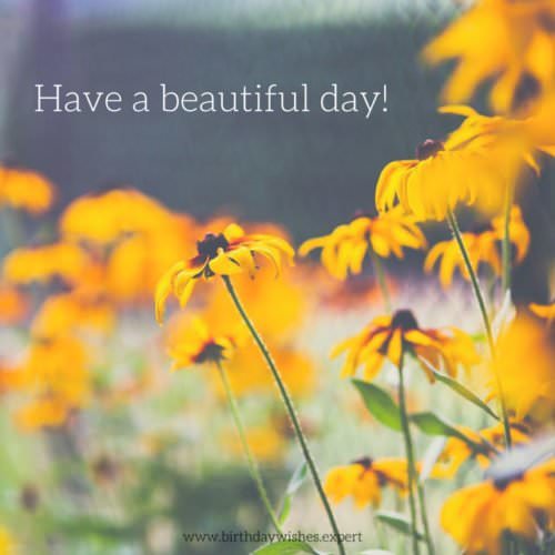 Have a beautiful day!