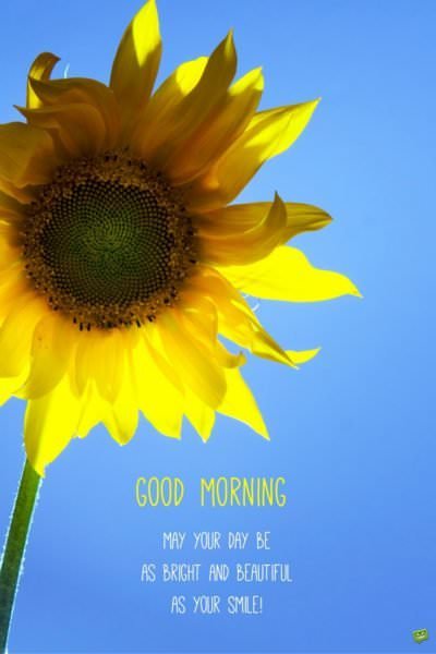 Good Morning. May your day be as bright and beautiful as your smile! | Birthday Wishes Expert Good Morning. May your day be as bright and beautiful as your smile!
