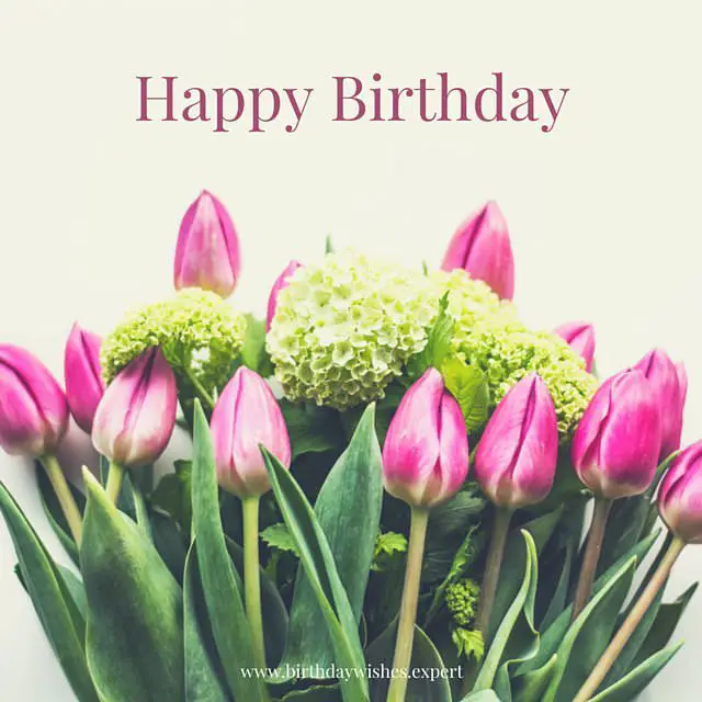 Feliz cumpleaños, eri  !!! Happy-Birthday-wish-on-image-with-tulips-and-hydrangea-flowers