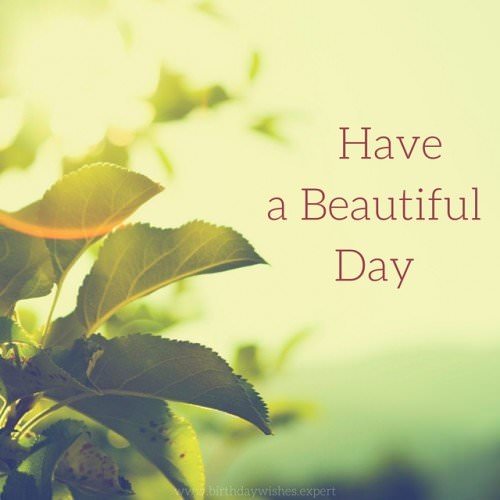 Have a Beautiful Day