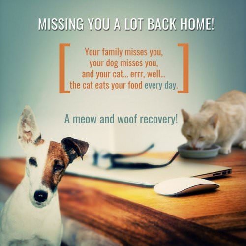 Missing you a lot back home! Your family misses you, your dog misses you and your cat… well… eats some of your food every day. A meow and woof recovery! Missing you a lot back home! Your family misses you, your dog misses you and your cat… well… eats some of your food every day. A meow and woof recovery!