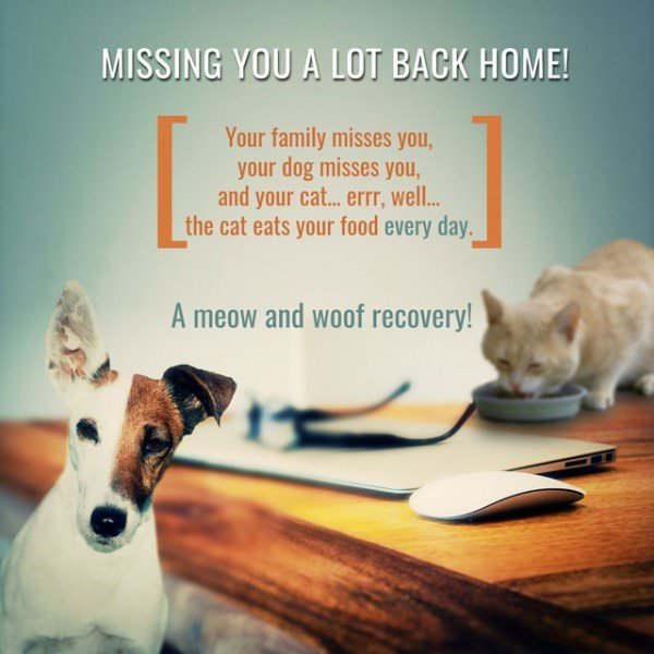 Missing you a lot back home! Your family misses you, your dog misses you and your cat… well… eats some of your food every day. A meow and woof recovery!
