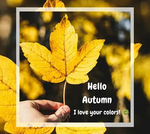 Hello Autumn