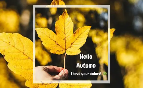 Hello Autumn