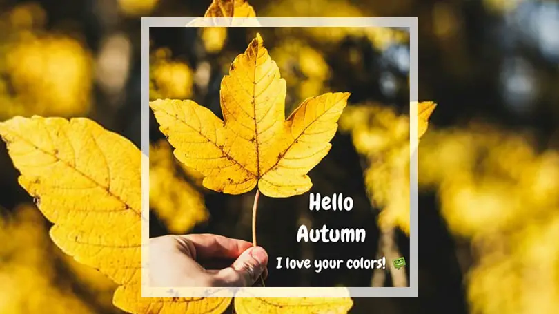 Hello Autumn