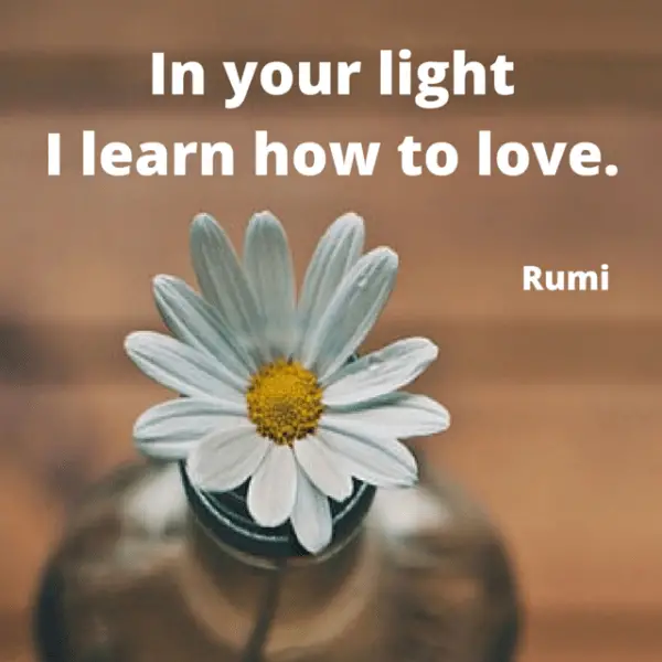 Top 30 Rumi Quotes on Images