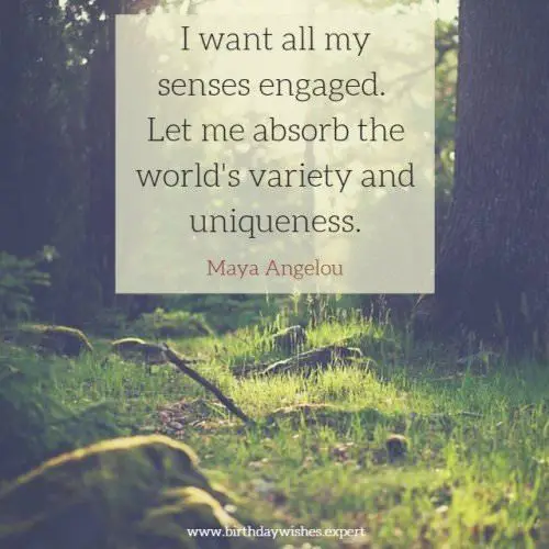 I want all my senses engaged. Let me absorb the world's variety and uniqueness. Maya Angelou