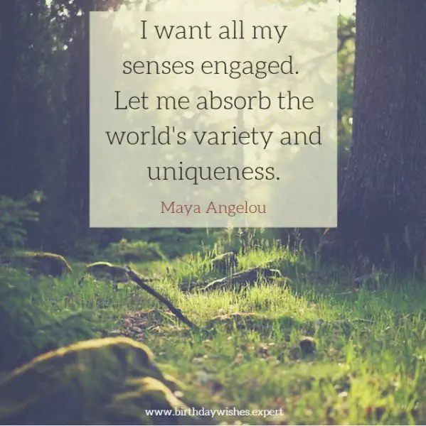 101 Maya Angelou Quotes To Make You Feel Warm Inside