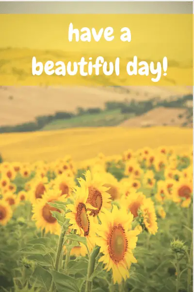 Have a beautiful day!