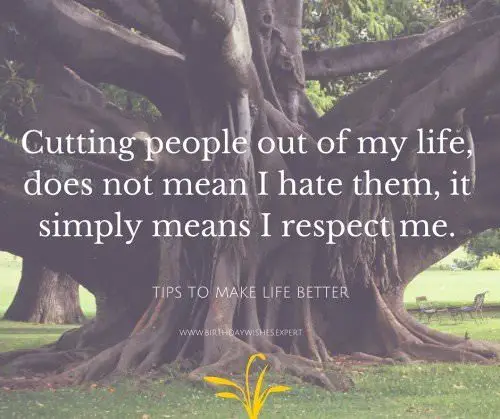 Cutting people out of my life does not mean I hate them, it simply means I respect me.