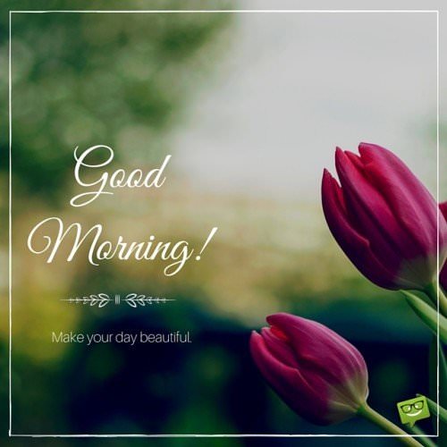 Good Morning. Make your day beautiful.