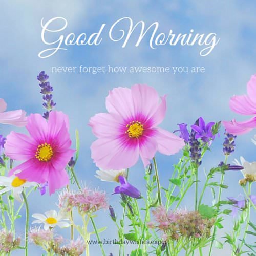 60 Good Morning Images With Pretty Flowers Updated 2019