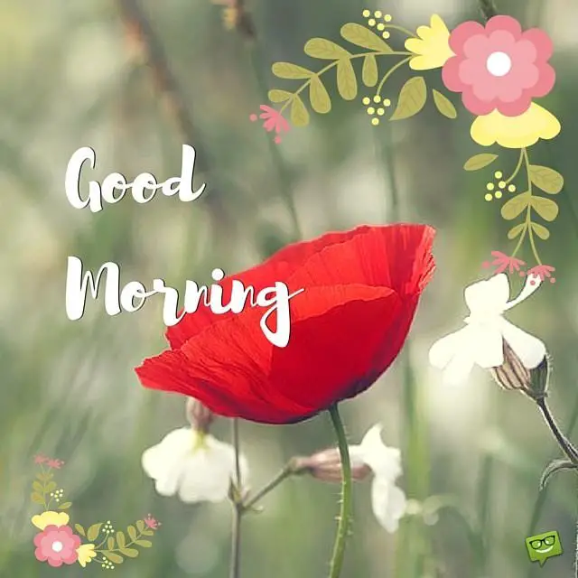 quotes early day starting the about Good 45 Uplifting the Images Day! Start to Morning Time quotes early day starting the about Good 45 Uplifting the Images Day! Start to Morning Time