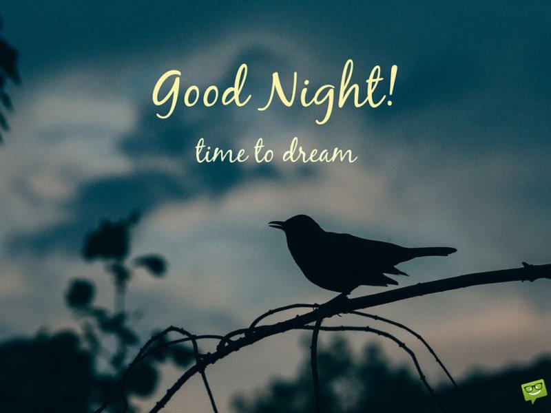 Good night. Time to dream. | Birthday Wishes Expert Good night. Time to dream.