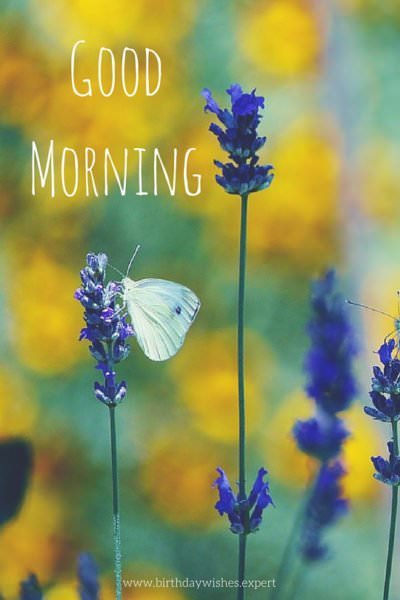 Good Morning. | Birthday Wishes Expert Good Morning.