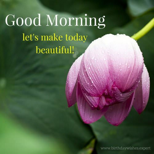 Good Morning. Let's make today beautiful!
