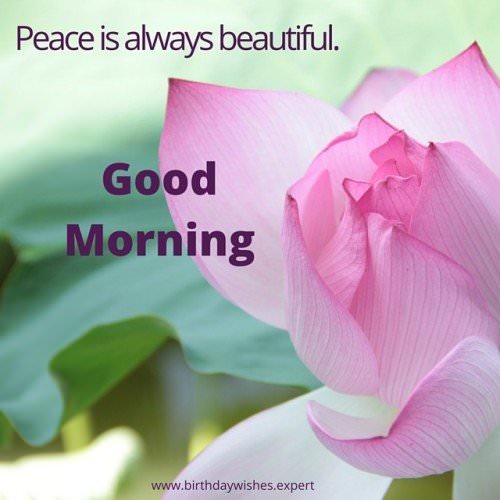 Good Morning. Peace is always beautiful.