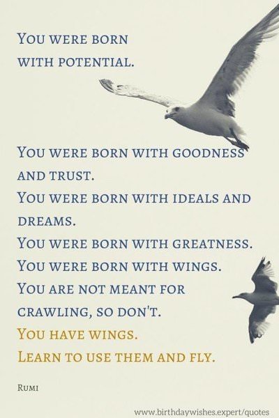 My 20 Favorite Rumi Quotes
