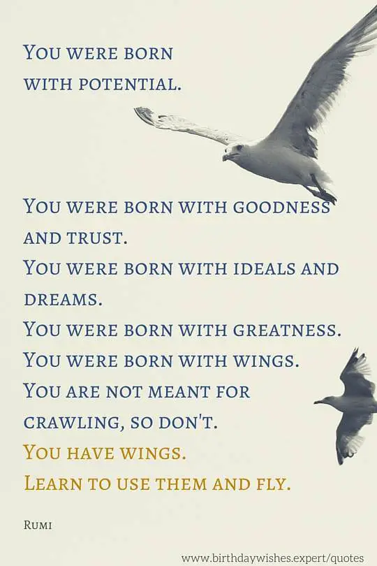 My 20 Favorite Rumi Quotes