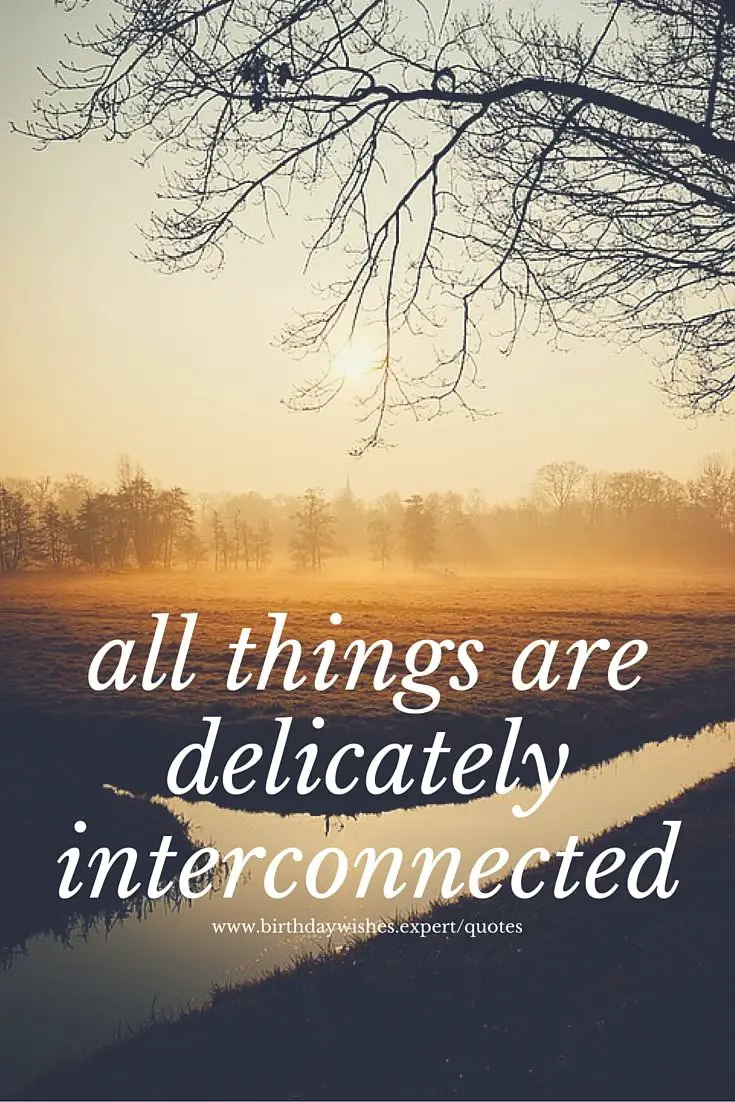 The Best Short Quotes
