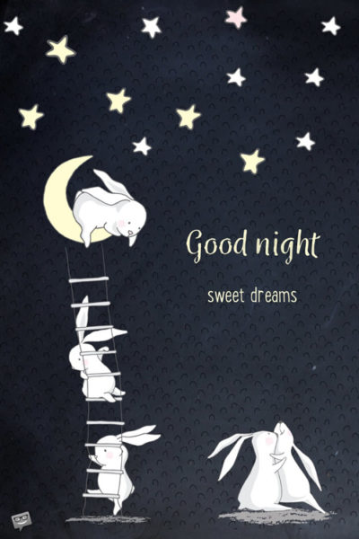 Good night image with cute bunnies climbing to the stars and a wish for sweet dreams. | Birthday Wishes Expert Good night, sweet dreams.