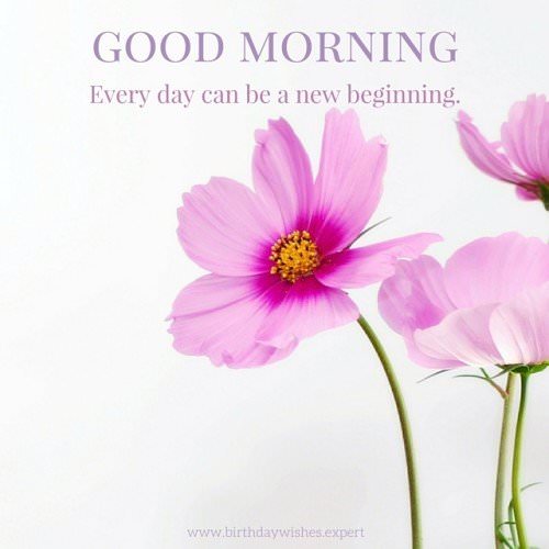 Good Morning. Every day can be a new beginning.