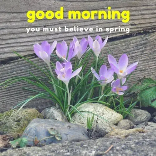 Good Morning. You must believe in spring.