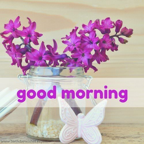 60 Good Morning Images With Pretty Flowers Updated 2019