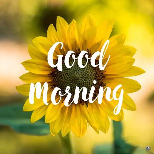 Best Good Morning Messages, Wishes and Inspirational Quotes - The State