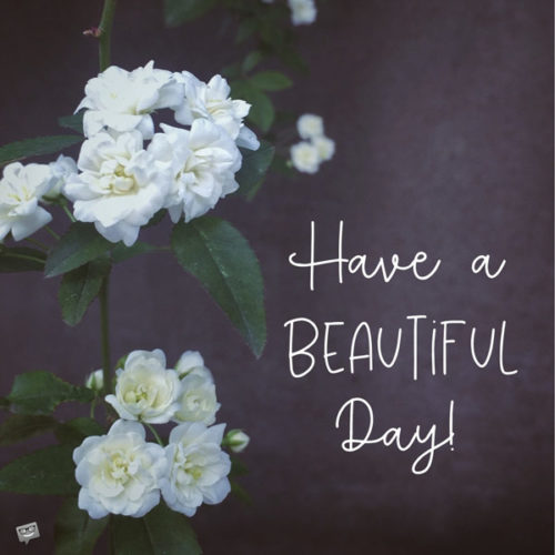 Have a beautiful day!