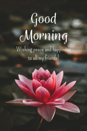 Good Morning. Wishing peace and happiness to all my friends.