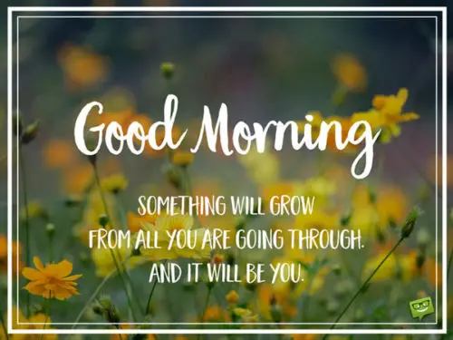 Good Morning. Something will grow from all you are going through. And it will be you!