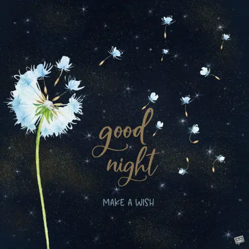 Good Night Quotes The Best Wishes To Help You Sleep Tight