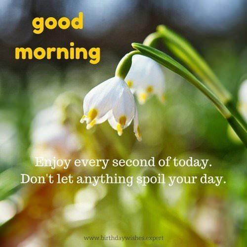 Good Morning. Enjoy every second of today. Don't let anything spoil your day.