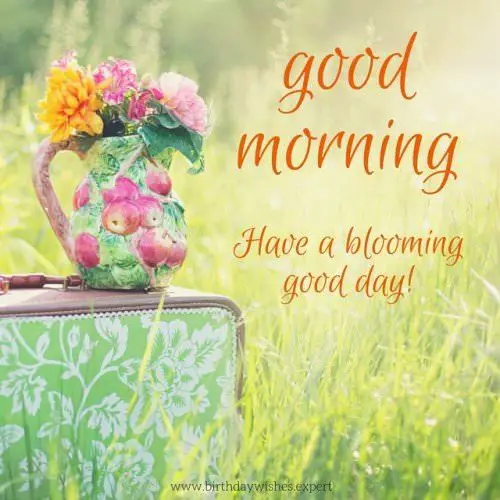 Good Morning. Have a blooming good day!