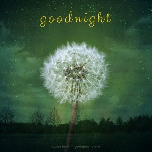 Goodnight. | Birthday Wishes Expert Goodnight.
