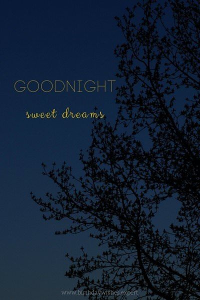 Goodnight, sweet dreams.