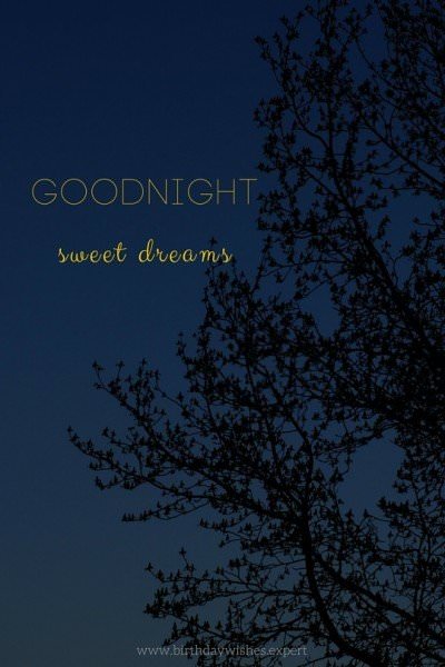 Goodnight, sweet dreams. | Birthday Wishes Expert Goodnight, sweet dreams.