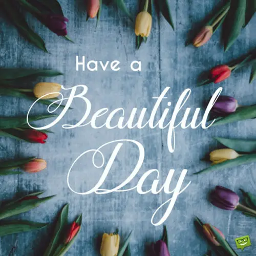 Have a beautiful day!