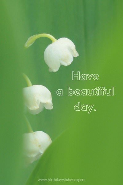 Have a beautiful day.