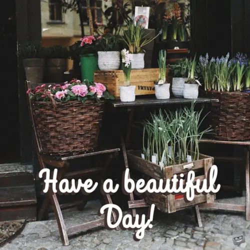 Have a beautiful day.