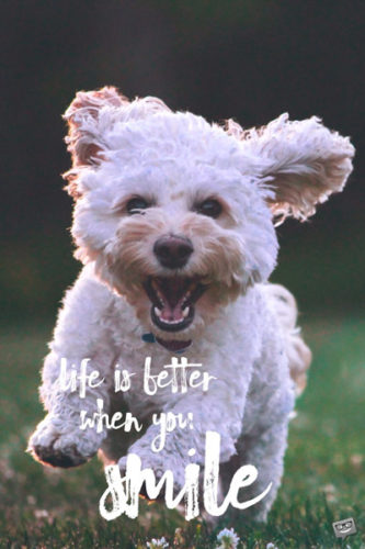 Life is better when you smile.