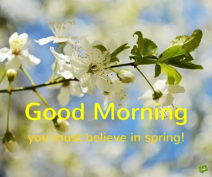 Good morning, you must believe in spring!